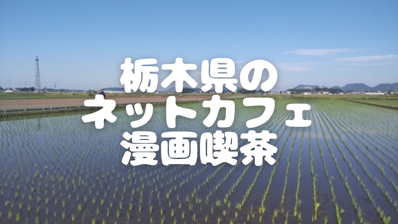 22年最新版 栃木県内10店舗のネットカフェ 漫画喫茶一覧 ベッシーログ