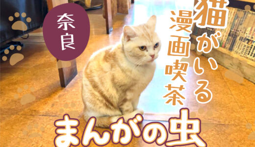 看板猫がお出迎え！奈良の漫画喫茶「まんがの虫」に行ってみた